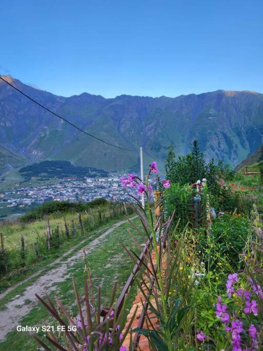 Peak House Vila Kazbegi Exterior foto